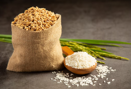Extension of Free Ration Scheme for Next 5 Years